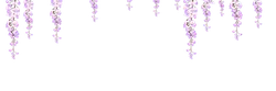Wisteria - flower - No Background PNG
