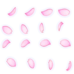 Pink Petals - lightweight - PNG Images