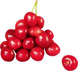 Cherry - juicy - sweet - High Resolution PNG