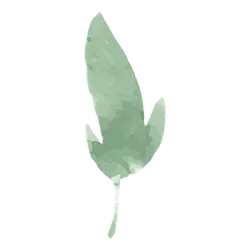 Green Leaf - Lossless PNG - fresh
