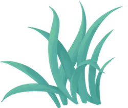 Green Plant - growth - Designer Recommended PNG