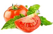 Tomato - healthy - red - High Resolution PNG
