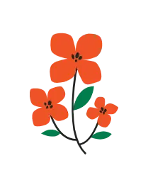 Three Flowers - Fast Download PNG