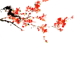 Plum Blossom - red - flower - Transparent Layer PNG