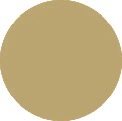 Brown Circle - simple style - PNG