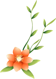 Orange Flower - green leaves - Lossless PNG