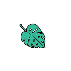 Leaf - ecology - Free Download PNG