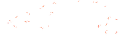 Butterflies in Flight - elegant - High Resolution PNG