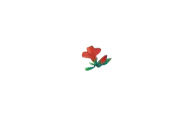 Red Flower - color - Free Download PNG