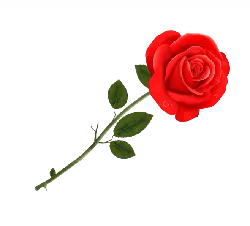 Red Rose - love - nature - Free Download PNG