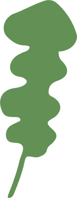 Leaf - green - Free for Commercial Use PNG