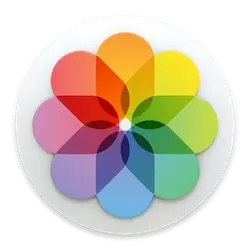 petals icon - petal - Free Download PNG