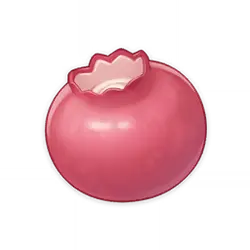 Pomegranate - fruit - spherical - Lossless PNG