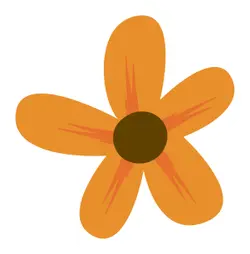 Orange Flower - simple - cartoon - No Background PNG