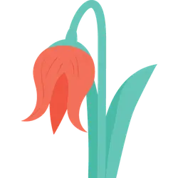 Tulip - leaf - High Resolution PNG