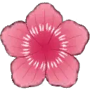 Cherry Blossom - Transparent Layer PNG - pink - Pic 3