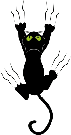 Black Cat - night - eyes - Lossless PNG