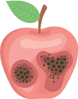 Apple - healthy - apple - High Resolution PNG