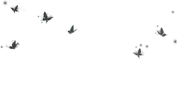 Butterfly - nocturnal - Transparent Layer PNG
