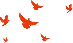 Flying Birds - freedom - abstract - Lossless PNG