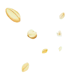 Peanut - tasty - Transparent Layer PNG