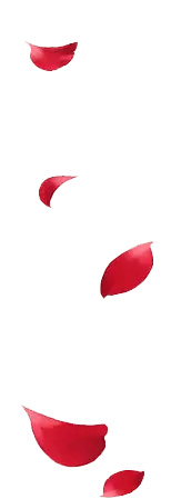 Red Petals - petal - PNG Images