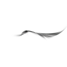 Lossless PNG - nocturnal animal - Black Owl