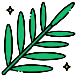 Palm Leaf - leaf - Popular Download PNG