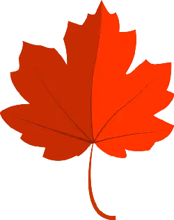 Maple Leaf - fall - No Watermark PNG