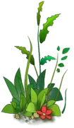 Green Plants - Trending PNG