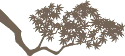 Maple Tree - plant - leaf - Lossless PNG