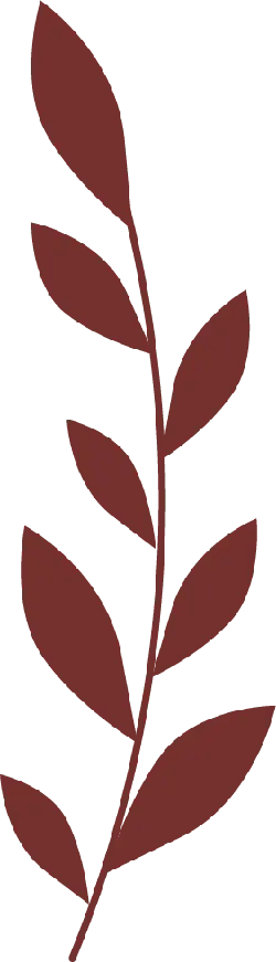 Brown Leaves - line - Lossless PNG