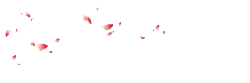 Cherry Blossom Petals Falling - beautiful - PNG