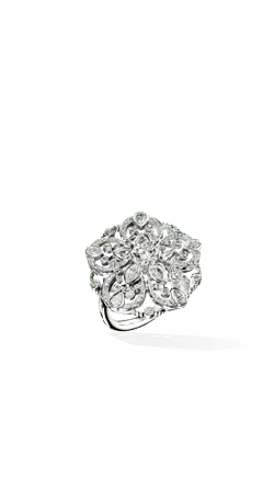 Silver Ring - beautiful - Free PNG