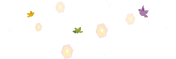 Colorful Birds and Stars - night sky - Free PNG
