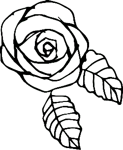 Black Owl - Transparent Layer PNG - Transparent Background PNG