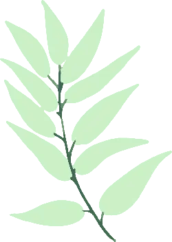 Leaf - Designer's Pick PNG - branch