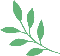 Green Leafy Branch - PNG Images