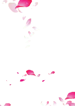 Pink Petals Falling - background - No Background PNG