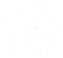 Four-Petal Flower - black and white - Transparent Background PNG