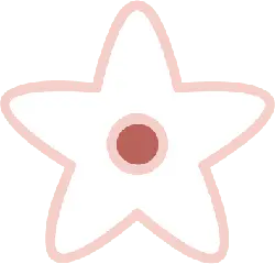 Star - flower - Lossless PNG