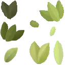 Leaf - shape - Fast Download PNG