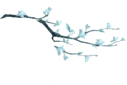 Plum Blossom Branch - plant - branch - Transparent Background PNG