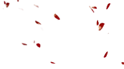 Red Butterfly - nature - insect - High Resolution PNG