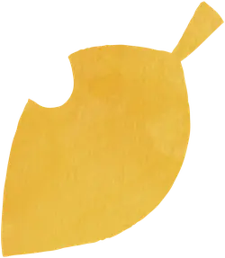 Leaf - Recommended PNG - Fast Download PNG
