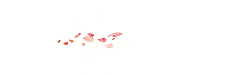 Pink Petals Falling - nature - Transparent Background PNG
