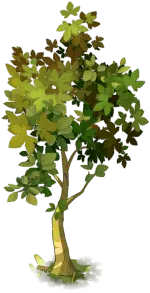 Tree - leaves - Fast Download PNG