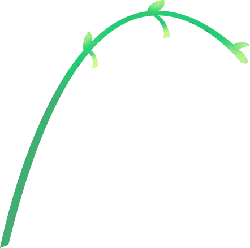 Green Vine - growth - leaves - PNG Images