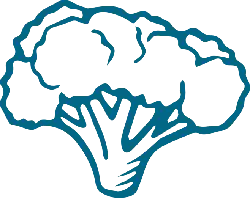 Broccoli - No Watermark PNG - nutrition