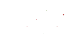 Red Kite - High Download Count PNG